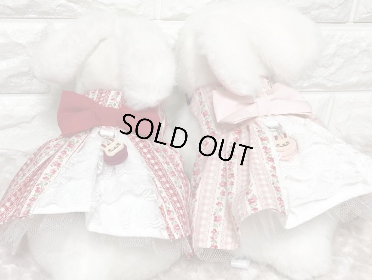 画像4: チュチュハーネス14 赤 (4)