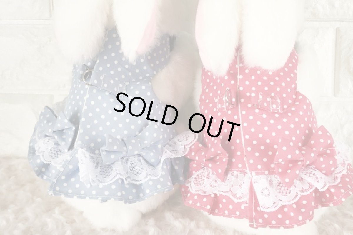 画像6: ワンタッチハーネス　水玉ブルー (6)