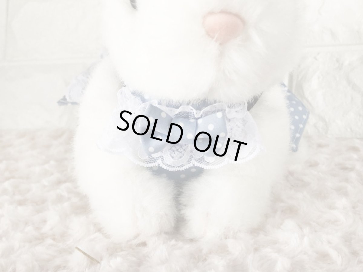 画像2: ワンタッチハーネス　水玉ブルー (2)