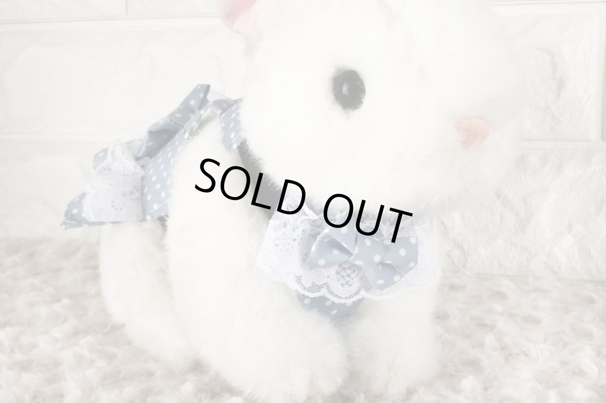 画像3: ワンタッチハーネス　水玉ブルー (3)