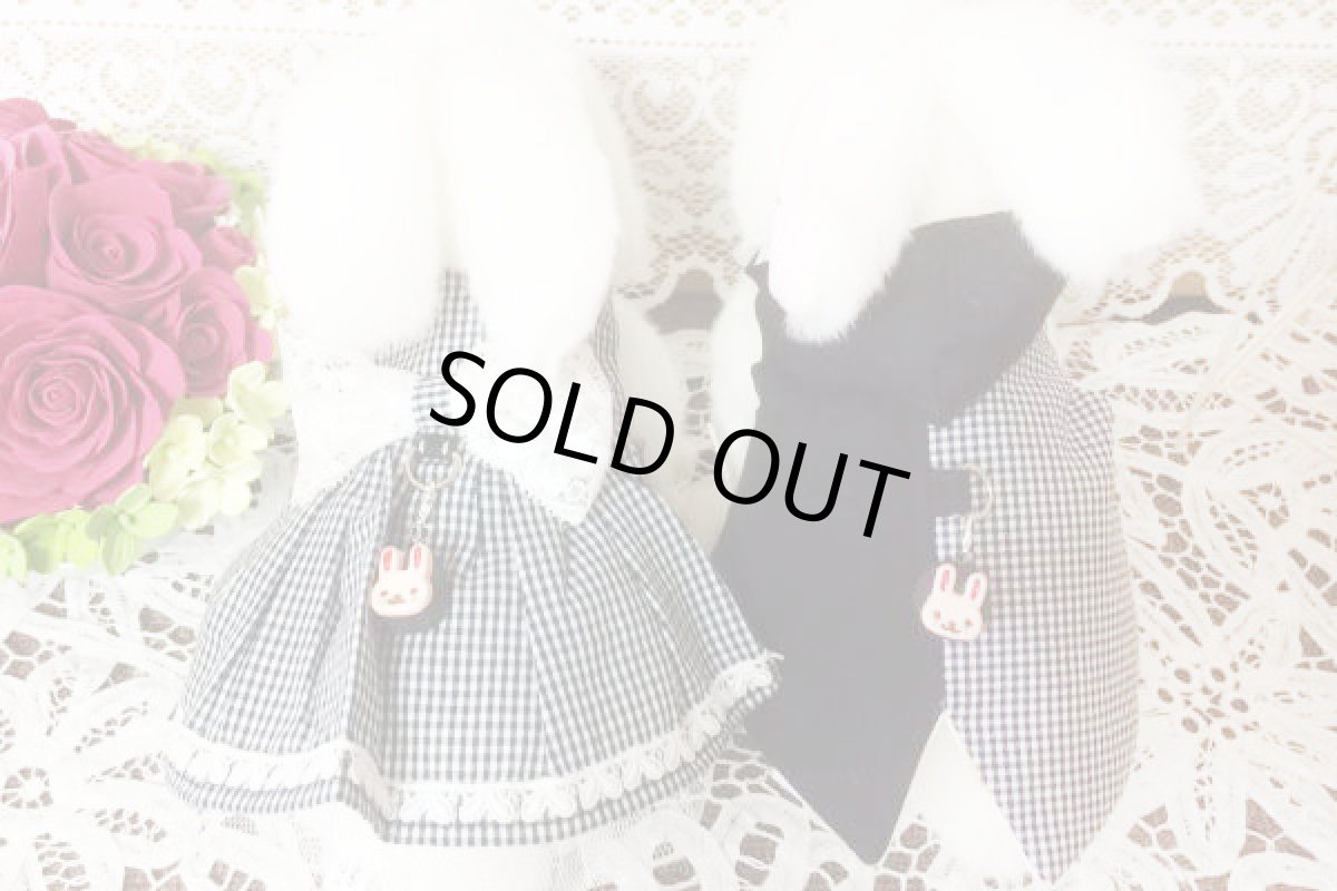 画像2: とんがりハーネス１ (2)