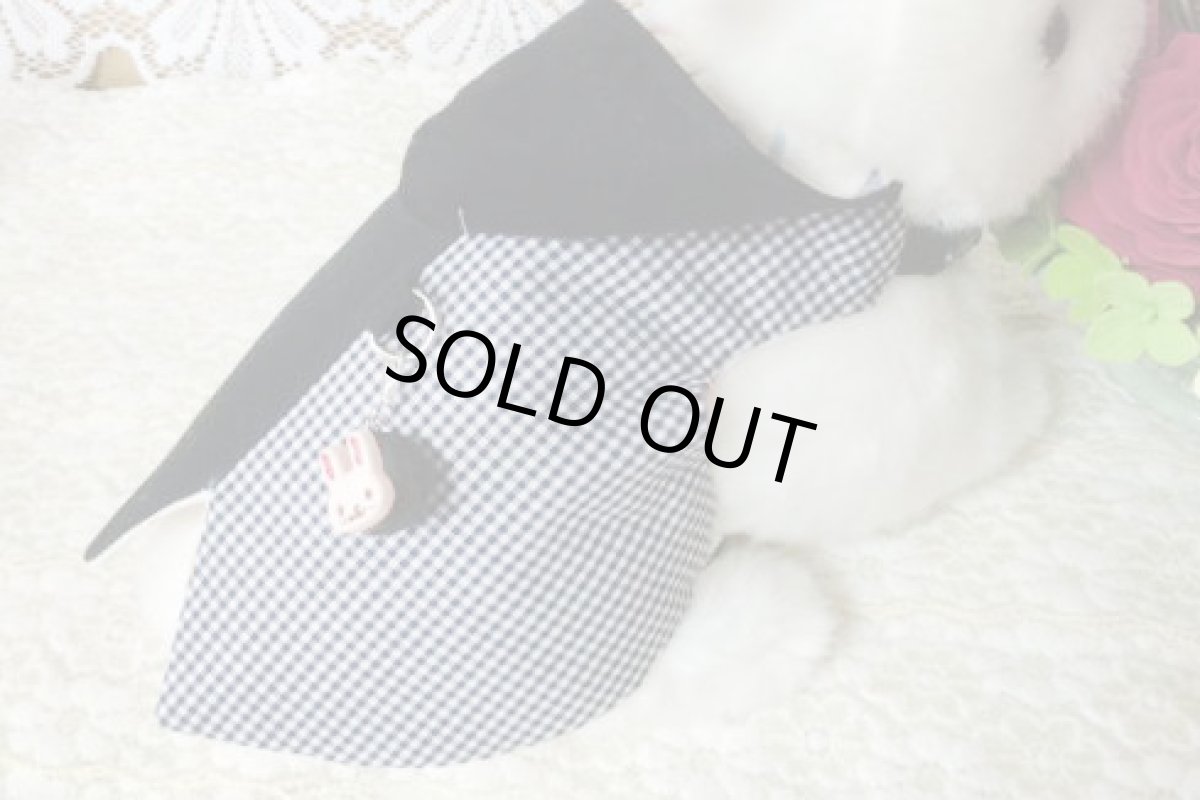 画像3: とんがりハーネス１ (3)