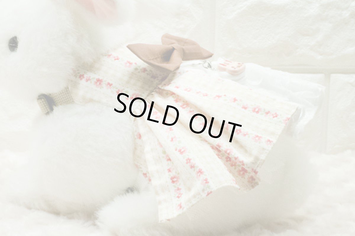 画像4: チュチュハーネス14 茶 (4)