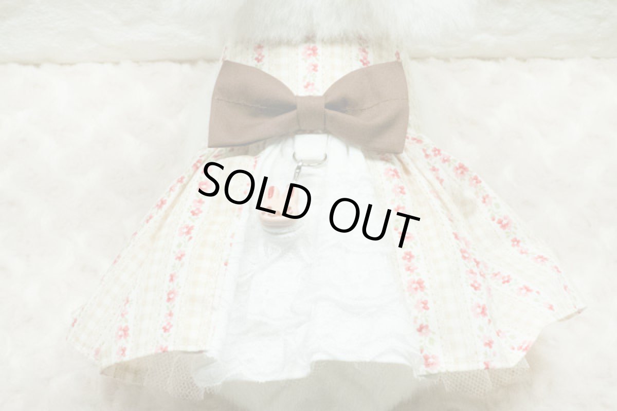 画像3: チュチュハーネス14 茶 (3)