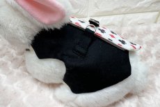 画像5: ワンタッチハーネス　トランプ (5)