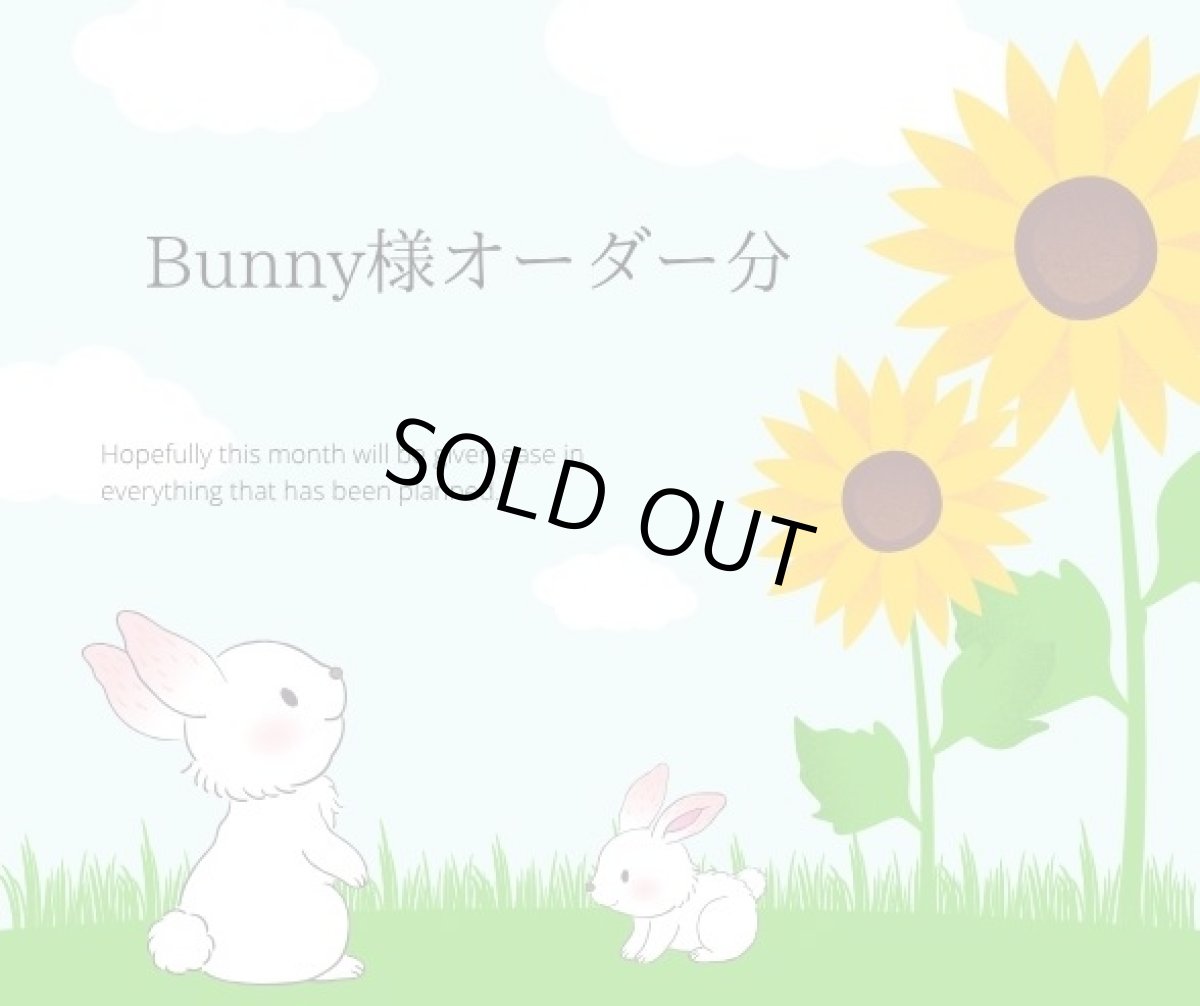 画像1: Bunny様オーダー (1)