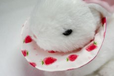 画像3: エリザベスカラーリバーシブル　いちご (3)