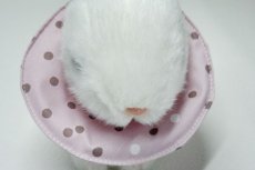 画像4: エリザベスカラーリバーシブル　水玉グレッシュピンク (4)