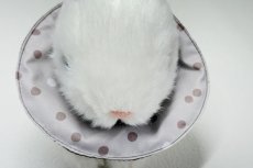 画像4: エリザベスカラーリバーシブル　水玉茶 (4)