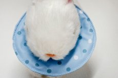 画像4: エリザベスカラーリバーシブル　水玉ブルー (4)