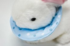画像3: エリザベスカラーリバーシブル　水玉ブルー (3)