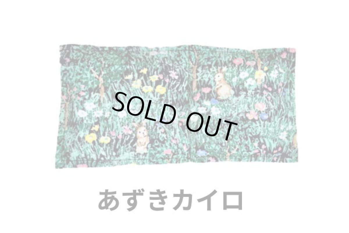 画像5: 保冷保温セット１ (5)