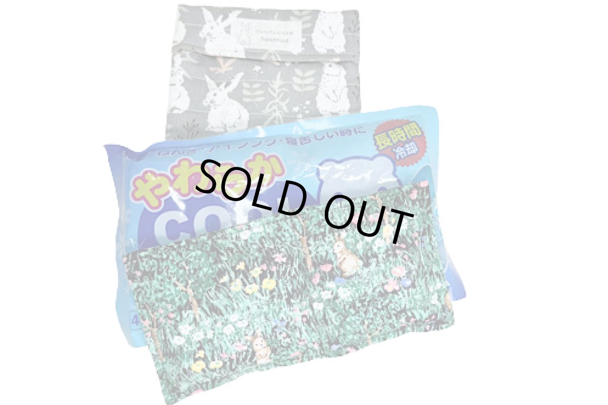 画像1: 保冷保温セット５ (1)