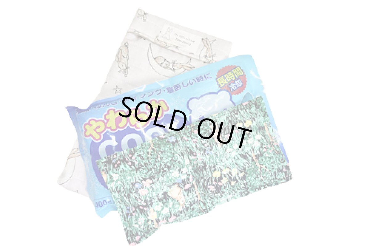 画像1: 保冷保温セット３ (1)