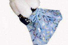 画像3: 袴ハーネス男の子 期間限定販売 (3)