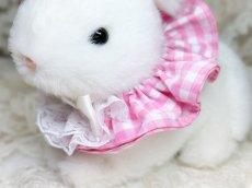 画像5: シュシュネックレス1 (5)