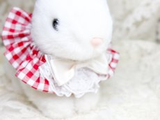 画像12: シュシュネックレス1 (12)