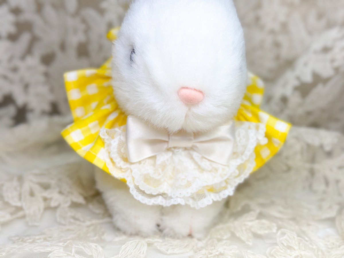 画像7: シュシュネックレス1 (7)