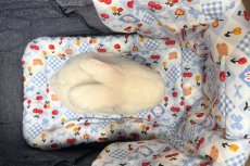 画像8: あごのせクッション3 (8)