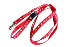 画像1: チロリアンのリード　13 (1)