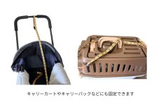 画像4: レースのリード　茶 (4)